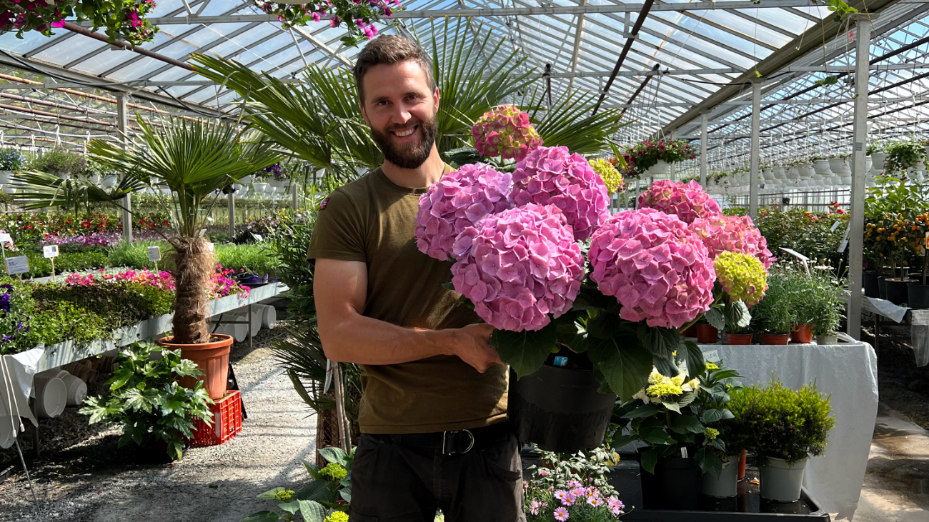 Vakre Finnøy de grønne øyene Thermo Tours